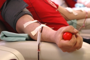 donor1.jpg